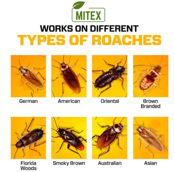 💥 Powerful Cockroach Repellent – Keep Your Home 100% Pest-Free! | Buy 1 Get 1 FREE | Flat 50% OFF | Just ₹499 🚚 COD"