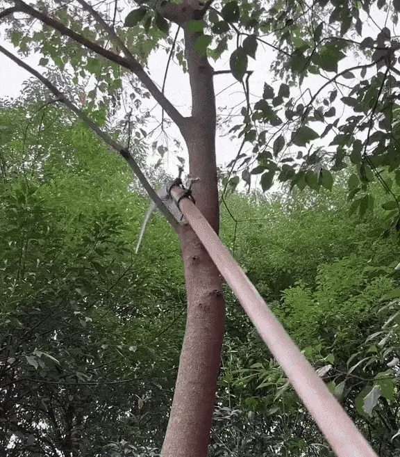 Multifunctional Portable Grass Sickle Cutter Head Tool | Flat 50% OFF | ₹599 Only | Free Delivery & COD