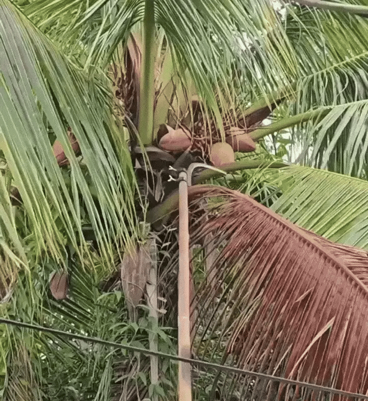 Multifunctional Portable Grass Sickle Cutter Head Tool | Flat 50% OFF | ₹599 Only | Free Delivery & COD