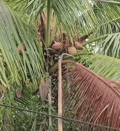 Multifunctional Portable Grass Sickle Cutter Head Tool | Flat 50% OFF | ₹599 Only | Free Delivery & COD